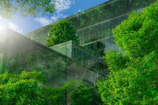 Glass office buildings surrounded closely by bright green leaves